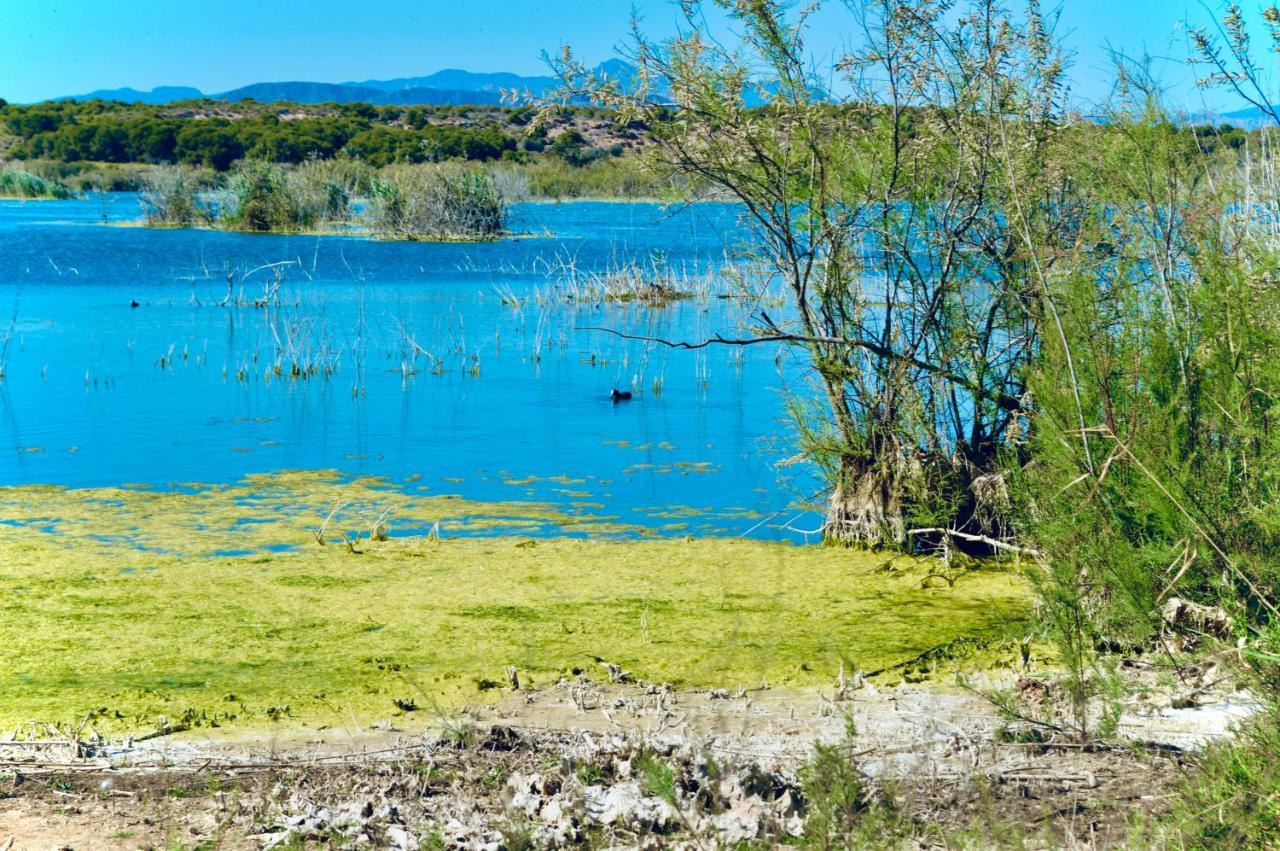 Refugio De Tranquilidad En Gran Alacant Εξωτερικό φωτογραφία